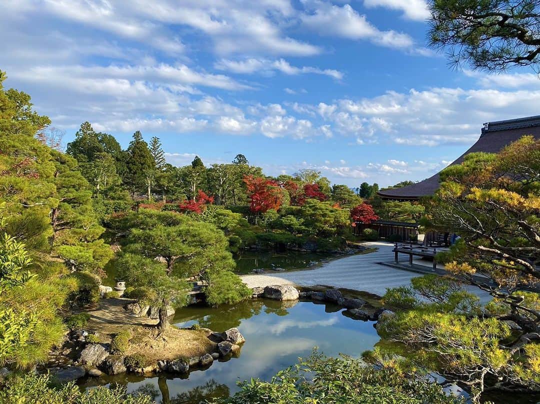 谷中麻里衣のインスタグラム：「Love Japanese gardens and the scenic Nihonga (Japanese style paintings) they inspire 💕  #東山魁夷と四季の日本画 展へ✨ 皇居宮殿のために描いた壁画をたくさんの人が見られるようにと作った同趣作品「満ち来る潮」が特に圧巻で、さすが青の魔術師でした💙 砂子で表現した波が素敵なの🥰 海のスケッチも数点あったんだけど、波や岩のどれを主役にしている作品かによって描き方が違って面白かったです🌊 「平凡なものを緻密に見れば、非凡な発見がある」  1枚目は #京都 #仁和寺 🍁 空の青さや池の反射が東山魁夷の作品にありそうだなと撮ったときに思ったの✨ 京都の景色も「京洛四季」で描かれてるしね😉」