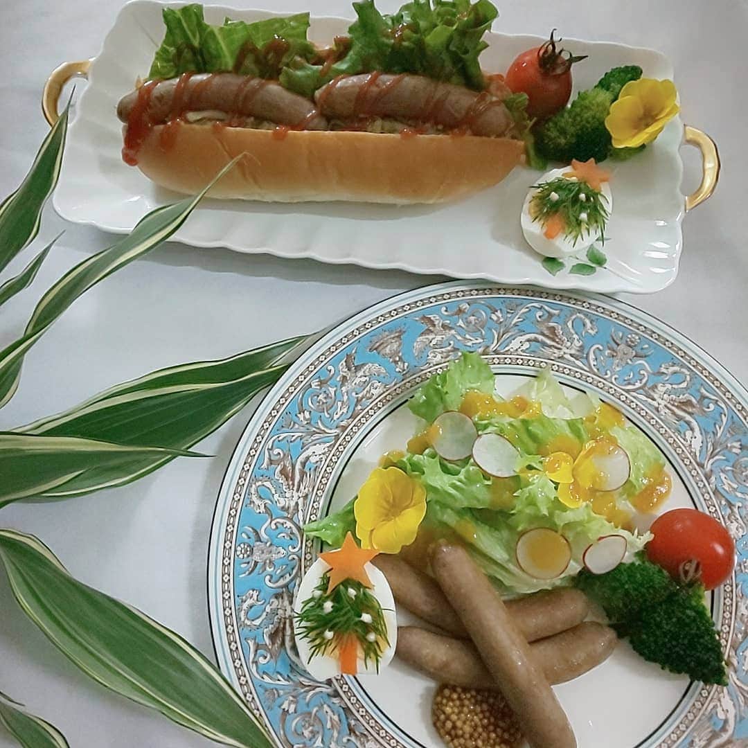 のインスタグラム：「【養老山脈の天然鹿で作る、自然派ソーセージ】  なぜ自然派と商品名に付いているのかというと、肉を余すところなく、その時々の新鮮な部位で作るからなのだそう😊  一般的なソーセージは、商品に均一性を保つため、部位を決め打ちにしたり、結着材などの添加物を入れたりしているという事ですから、ナチュラル素材を味わえるというのは、貴重であると言えますね♥️  ただ、鹿のナチュラルって？ 臭みがありそう～！？ そんな風に想像していました。  だってジビエですから🦌  調理方法は、シンプルにフライパンで焼いてみて、粒マスタードでいただきました。 ダイレクトにお肉の味が感じらるのですが、想像していたような臭みはなく、旨味がぎっしりで美味しい😍  パンに挟んでホットドッグにすると、 ボリューミーな朝食になります🥖 ちょうど特製ウスターソースをいただいたので、キャベツをたっぷり炒めて挟みました👍️  鹿肉は、女性にうれしい鉄分が豊富。 そしてミネラルたっぷり、高たんぱく低カロリーとヘルシーな食材。  ポトフに入れても体があたたまって、良さそうですね♥️  @naturale_gotiso  #naturale_gotiso #ナトゥラーレ #ジビエ #ソーセージ #ウインナー #ボーンブロス #鹿ボーンブロス #おうちリストランテ #エシカル消費 #おうちごはん #家庭料理 #コエタス #ホットドッグ #鹿肉 #healthy #クリスマス #クリスマス料理」