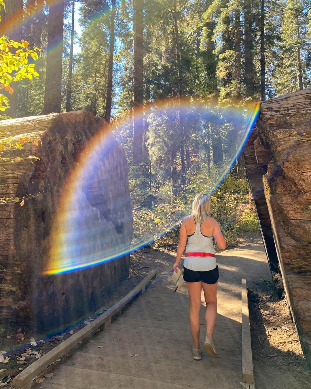 マリヤ・コロレバさんのインスタグラム写真 - (マリヤ・コロレバInstagram)「Finally sharing a few of the INSANE photos Alex took of me at the Big Trees State Park ✨   I still can’t get over the light in each photo! Each one is unique and so so beautiful 😍 I can’t wrap my mind around how this works and why the shapes are so different!   Have any of you taken photos like this?!   @alexlloyd19 #bigtrees #quarantineadventures #mashaandsasha」12月15日 1時22分 - mkoroleva