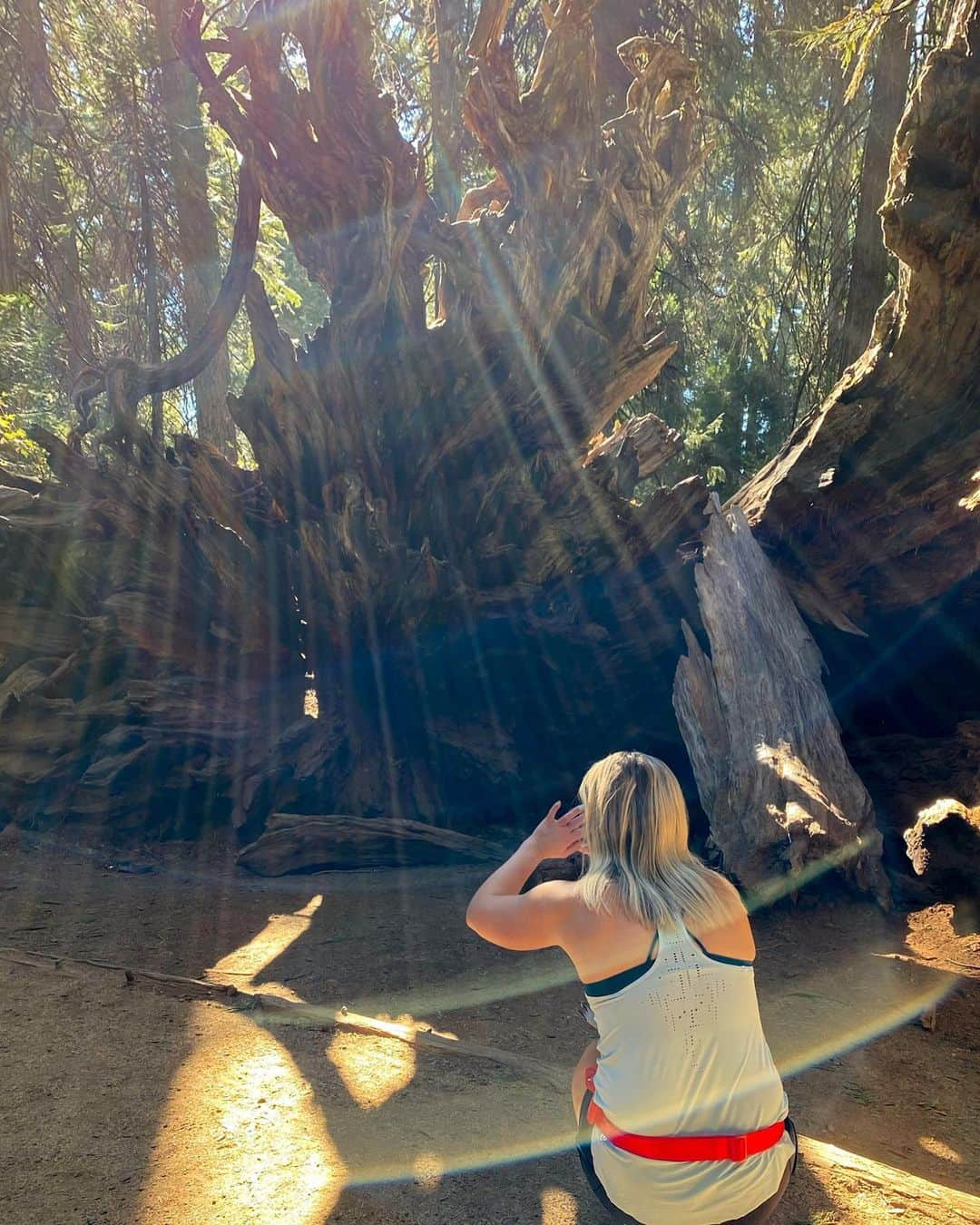 マリヤ・コロレバさんのインスタグラム写真 - (マリヤ・コロレバInstagram)「Finally sharing a few of the INSANE photos Alex took of me at the Big Trees State Park ✨   I still can’t get over the light in each photo! Each one is unique and so so beautiful 😍 I can’t wrap my mind around how this works and why the shapes are so different!   Have any of you taken photos like this?!   @alexlloyd19 #bigtrees #quarantineadventures #mashaandsasha」12月15日 1時22分 - mkoroleva