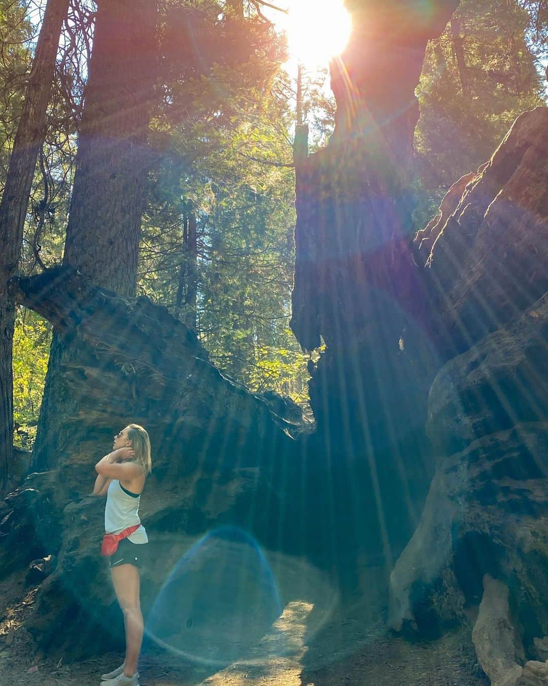 マリヤ・コロレバさんのインスタグラム写真 - (マリヤ・コロレバInstagram)「Finally sharing a few of the INSANE photos Alex took of me at the Big Trees State Park ✨   I still can’t get over the light in each photo! Each one is unique and so so beautiful 😍 I can’t wrap my mind around how this works and why the shapes are so different!   Have any of you taken photos like this?!   @alexlloyd19 #bigtrees #quarantineadventures #mashaandsasha」12月15日 1時22分 - mkoroleva