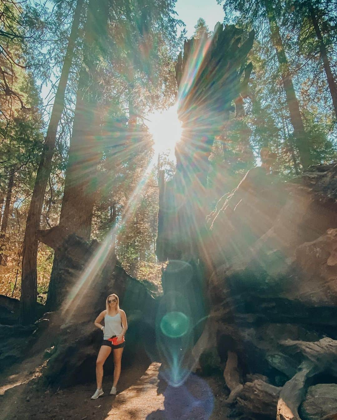 マリヤ・コロレバさんのインスタグラム写真 - (マリヤ・コロレバInstagram)「Finally sharing a few of the INSANE photos Alex took of me at the Big Trees State Park ✨   I still can’t get over the light in each photo! Each one is unique and so so beautiful 😍 I can’t wrap my mind around how this works and why the shapes are so different!   Have any of you taken photos like this?!   @alexlloyd19 #bigtrees #quarantineadventures #mashaandsasha」12月15日 1時22分 - mkoroleva