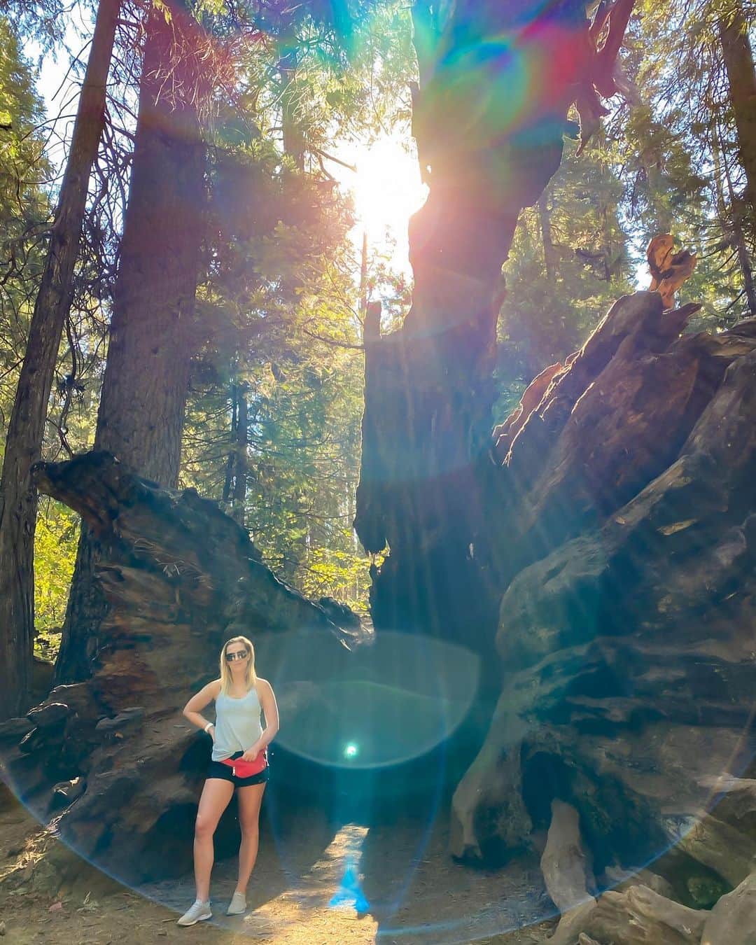 マリヤ・コロレバのインスタグラム：「Finally sharing a few of the INSANE photos Alex took of me at the Big Trees State Park ✨   I still can’t get over the light in each photo! Each one is unique and so so beautiful 😍 I can’t wrap my mind around how this works and why the shapes are so different!   Have any of you taken photos like this?!   @alexlloyd19 #bigtrees #quarantineadventures #mashaandsasha」