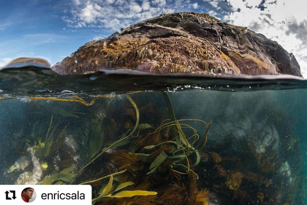 スコット・イーストウッドのインスタグラム：「#Repost @enricsala with @make_repost ・・・ Fourteen world leaders on the High Level Panel for Sustainable Ocean Economy called for transformative action on oceans by urging the protection of 30% of the ocean by 2030. These champions for nature are sending a strong signal that the emerging blue economy can and must be sustainable and resilient.  #SustainableOceanEconomy #OceanAction #CampaignForNature #30x30 📸 Cape Horn, Chile  This is great. We need more of this higher level thinking from around the world.」