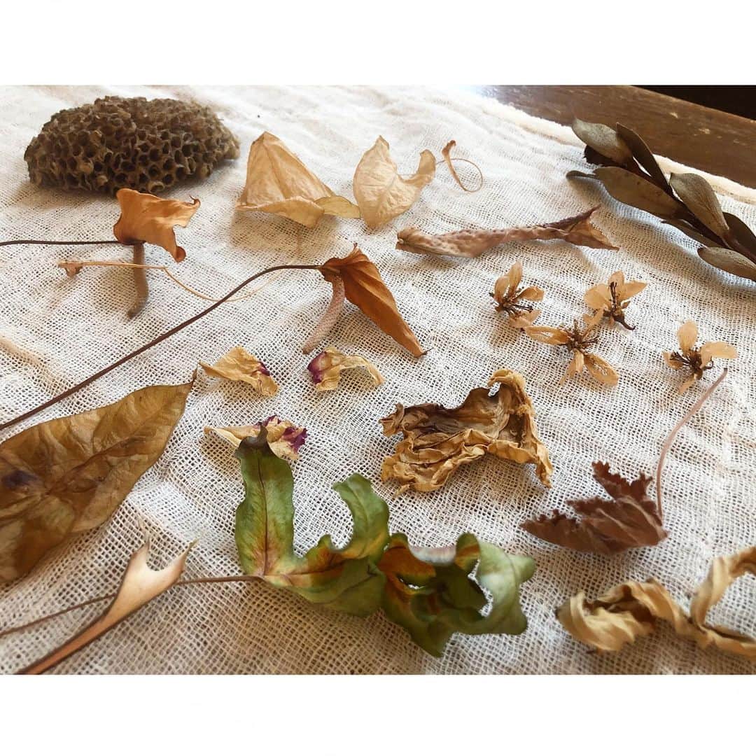 のインスタグラム：「・ ああ君たちが好きでたまらん My mom left me some nice jewelries but I’m much more obsessed by these corpses. #deadflowers」