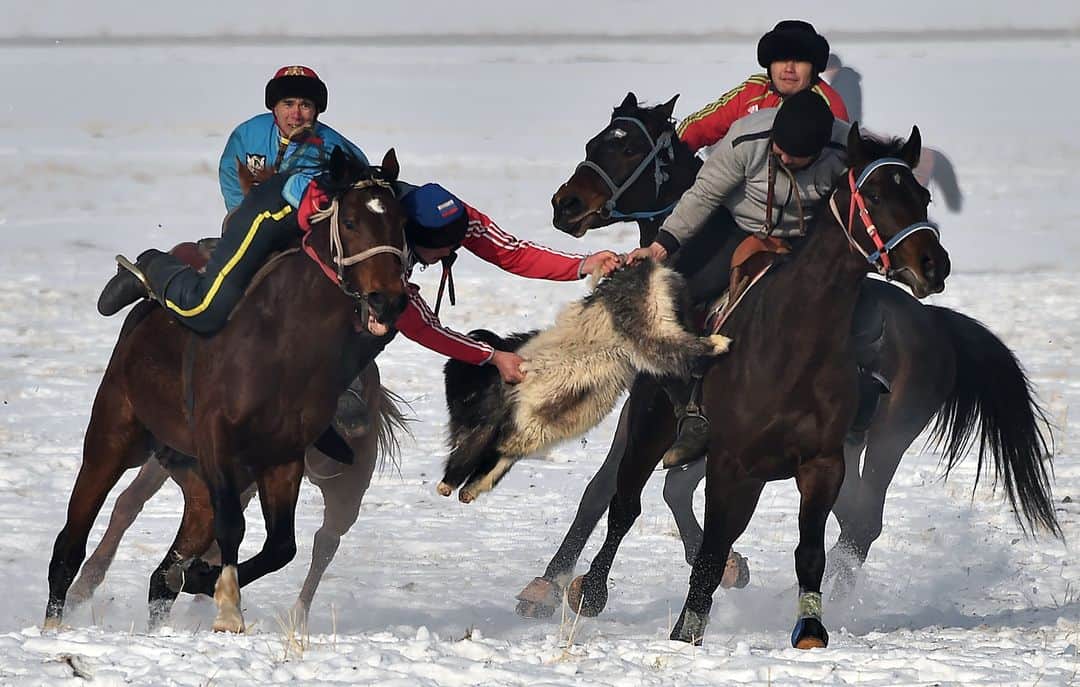 AFP通信さんのインスタグラム写真 - (AFP通信Instagram)「AFP Photo 📷 Vyacheslav Oseledko - Kyrgyz riders play the traditional Central Asian sport of Kok-Boru (Gray Wolf) or Buzkashi (Goat Grabbing) in the village of Chokmorov some 20 kilometres from Bishkek on December 12, 2020.⁣ .⁣ Kok-Boru is a traditional horse game where mounted players compete for points by manoeuvering a stuffed sheepskin into the opponents goalpost.」12月15日 2時51分 - afpphoto