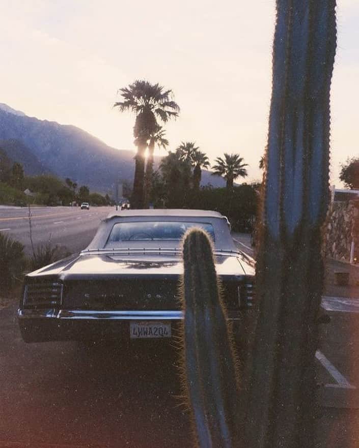 のインスタグラム：「wild west, wild ride  #california #westcoast #roadtrip #inspo #vintage #car」