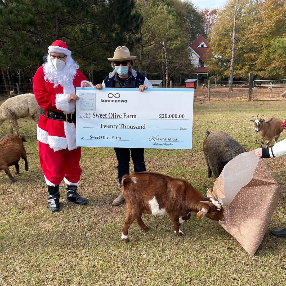 ティモシー・サイクスのインスタグラム：「I’m proud to announce $40,000 in new @karmagawa donations to two incredible animal rescue sanctuaries @sweetolivefarm and @farmofthefree as sadly 2020 has REALLY hit small charities hard even while the costs of taking care of these precious animals has risen dramatically. Sadly these two organizations work incredibly hard day in day out helping animals that otherwise would have suffered or been killed and yet their funding, like pretty much every other charity I talk with, has dropped 60-80% in 2020! I understand it’s a tough year, BUT WE MUST SUPPORT HARDWORKING PEOPLE AND ORGANIZATIONS IN NEED DURING THESE DIFFICULT TIMES! Please share this post to help spread awareness about these charities and go check out/follow @sweetolivefarm and @farmofthefree to see all the incredible work they do to give these animals better lives as they need all the support they can get right now! PS How great are their reactions when they unwrap the big checks Santa is giving them? It’s not just about the $, My @karmagawa cofounder @badboi and I LOVE bringing a little holiday cheer/joy to the amazing people who run these charities, it’s truly a thankless job, but they love animals so they suck it up and we should all show our appreciation for all that they do! #givingback #animalsanctuary #charitywork #karmagawa #sweetolivefarm #farmofthefree #hebrewclaus」