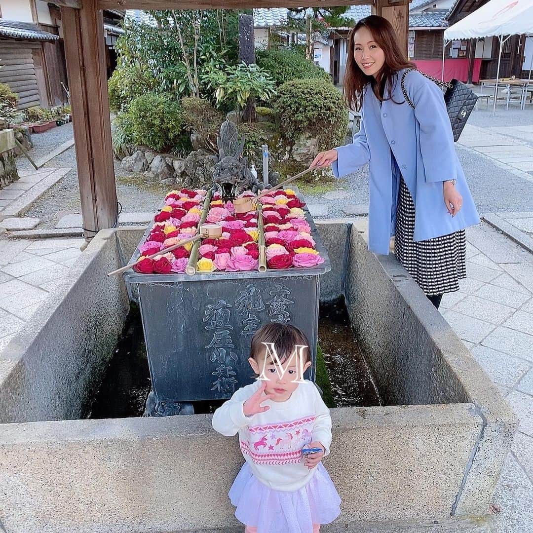 澤野井香里さんのインスタグラム写真 - (澤野井香里Instagram)「平安時代から親しまれる#柳谷観音 ・#楊谷寺 へ(*^^*)﻿ ﻿ 美しい薔薇の#花手水 が出迎えてくれた🌹✨﻿ #そうだ京都いこう﻿ ﻿ #ks_20✨ #ks_kyoto✨#京都 #長岡京　#薔薇　#眼病平癒祈願所 #ベビフル #ママリ #コドモノ #女の子ママ #男の子ママ　#ママライフ　#子供とおでかけ　#京都観光　#お寺巡り #ks_dau #ks_dau_2020 　#M🍒_」12月15日 4時49分 - kaori_sawanoi