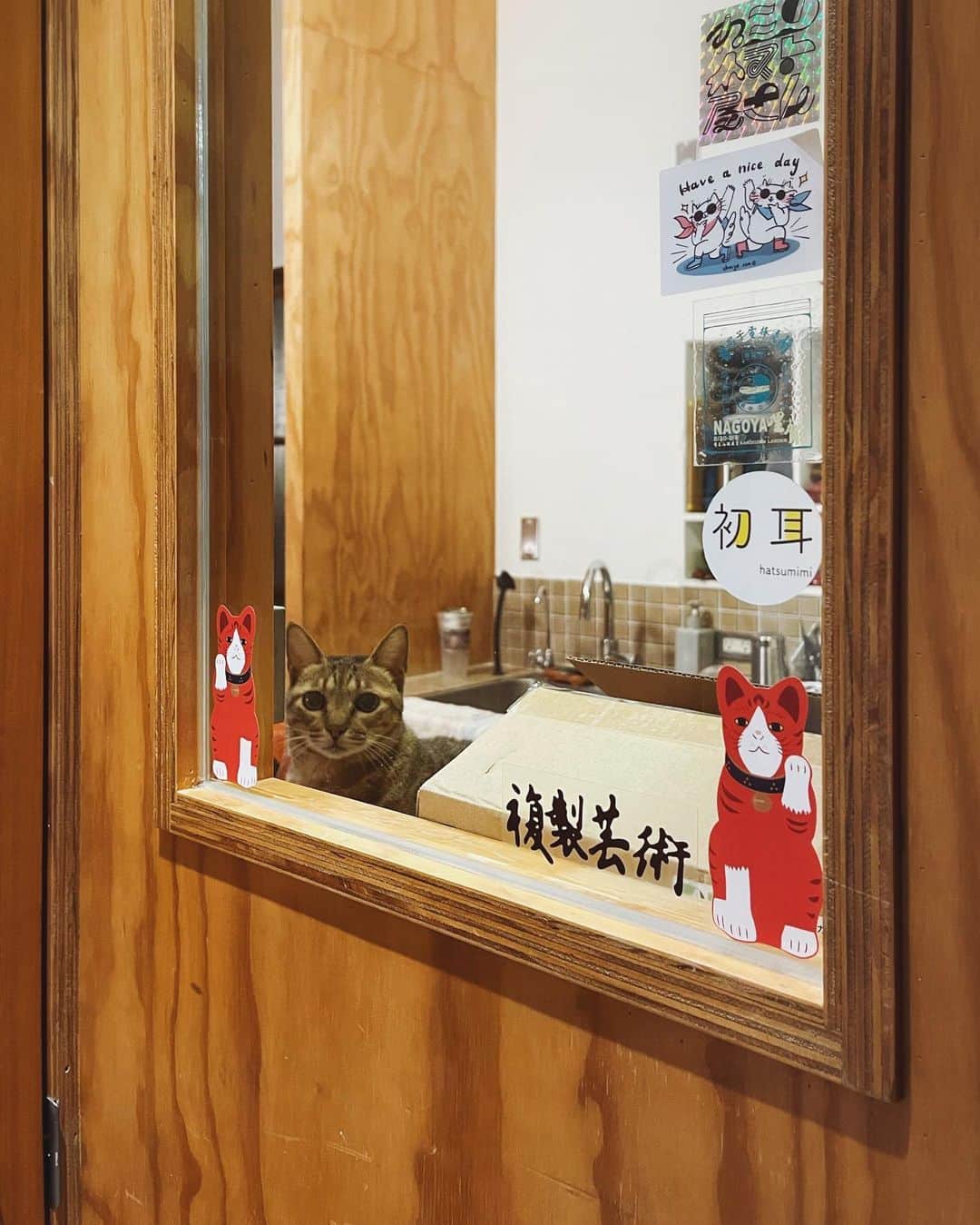 言身寸 in Tainan, Taiwanさんのインスタグラム写真 - (言身寸 in Tainan, TaiwanInstagram)「咪咪 - 「#怎麼這樣拍人家啦」 - #本事空間製作所台南工事部 - 2020.12.14 #taiwan #tainan #台灣 #台湾 #台南 #写真」12月15日 4時52分 - kukud83