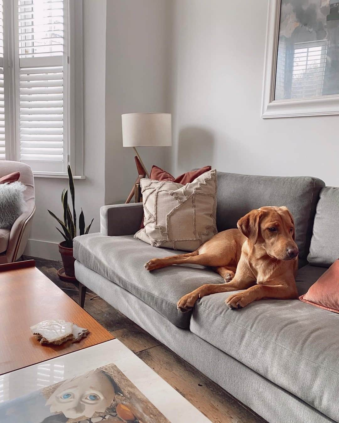 west elmさんのインスタグラム写真 - (west elmInstagram)「When everyone agrees that the Andes Sofa is the best seat in the house 🐶 (📷: @thestayoverlife) #dogsofwestelm」12月15日 5時00分 - westelm