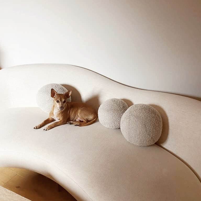 レオナ・ルイスのインスタグラム：「I guess it’s his sofa now 🤍」