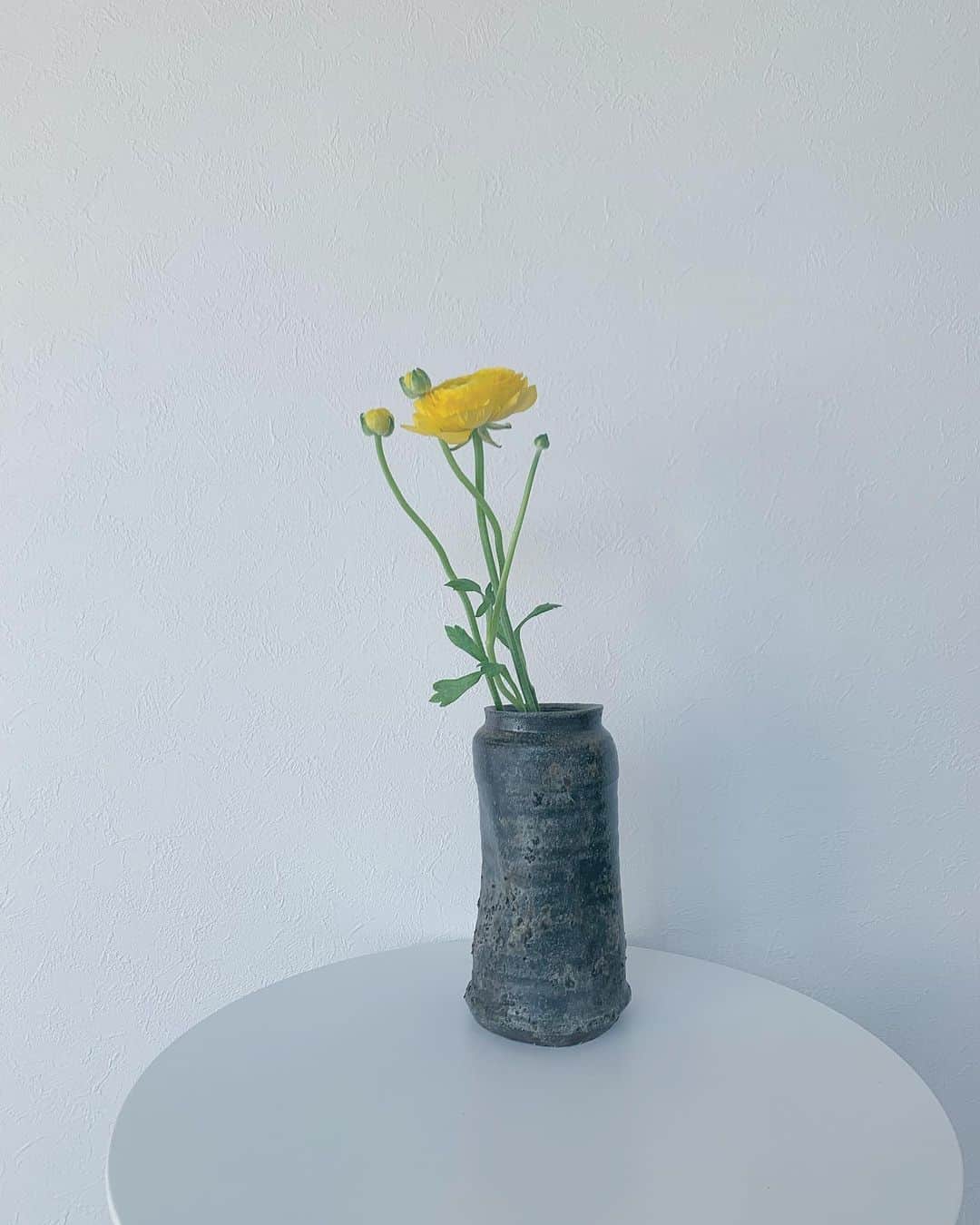 fumikaのインスタグラム：「🌿🌼🤍  #花のある暮らし  #flower #咲いた」