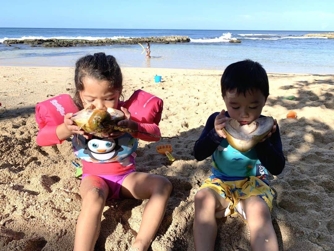 エリナ シルカさんのインスタグラム写真 - (エリナ シルカInstagram)「Beach days are the best days 🌴 ハワイもちょっとだけ涼しくなってきて海も冷たくなってきた。けど双子は元気に午前中ずっと遊んで、ココナッツでチャージして、るーちゃんはラップでスヤスヤ😴 そして海に行った日は寝かしつけが楽だー！ * * * #hawaiilife #luckywelivehawaii #beachlife #twins #boygirltwins #momof3 #ハワイ #ハワイ生活 #双子ママ #双子 #3児ママ」12月15日 16時41分 - laura_elina_ymd