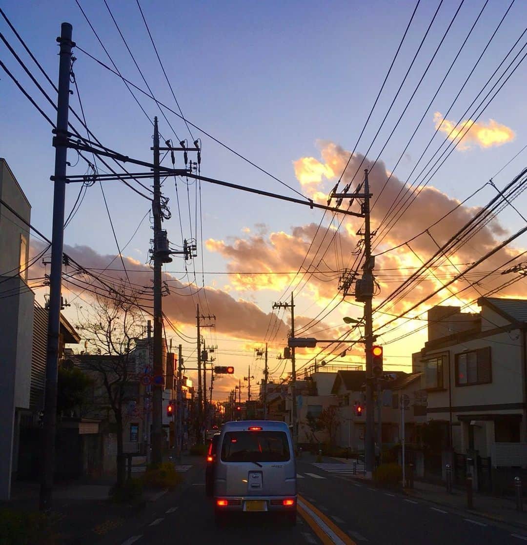 スガシカオのインスタグラム：「東京の街の電線は 複雑すぎて まるでアートのよう...  The electric wires in Tokyo...is too complicated.It's like art.」