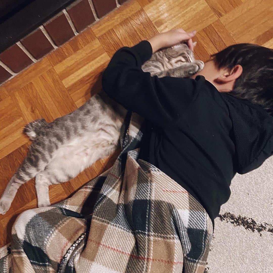 rats1316のインスタグラム：「・ お手手をほっぺたにぴたっとのせちゃって🐈  アレルギー克服できて良かったね、青波！ ・ ・ ・ #ねこのいる生活 #猫のいる暮らし #保護猫#こどものいる暮らし」