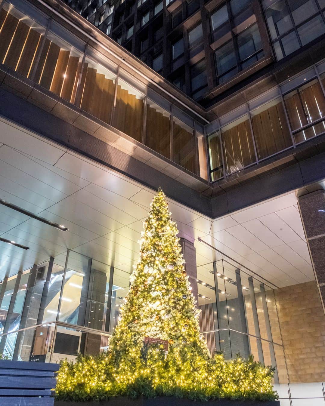 九州電力さんのインスタグラム写真 - (九州電力Instagram)「未来へ向けての希望の光となるようにと灯された「6Mクリスマスツリー」🎄⁣ .⁣ 毎年、警固公園のシンボリックツリーとして輝いていた「６Mクリスマスツリー」が、今年は電気ビル共創館みらい広場に登場🎅⁣ 明るい未来を信じ、皆さまの心を温めてくれます☺️⁣ .⁣ 天神周辺のおすすめスポット☝✨️⁣ 福岡市役所西側ふれあい広場では、12/25まで毎日クリスマスマーケットが開催されています🔔⁣ 輝くイルミネーションを見ながら、美味しい料理やお酒を楽しんではいかがでしょうか？⁣ .⁣ 📍電気ビル共創館　みらい広場⁣ 🚃西鉄薬院駅より徒歩7分⁣ .⁣ 気兼ねなくお出かけできる日が来るまで、お届けする九州の風景が、皆さまの元気や癒しになれば幸いです🍀⁣ 九電グループでは、「あしたプロジェクト～あしたを、しんじて、たすけあおう～」を展開しています。詳しくは、HPをご覧ください✨⁣ .⁣ #九電 #kyuden #九州の灯り #九州ぐらむ #広がり同盟 #九州旅行 #九州 #九州愛 #kyushu #福岡 #fukuoka #ふくおか #fukuoka_camera #fukuokacity #天神 #福岡天神 #薬院 #天神クリスマスマーケット #イルミネーション #イルミネーション2020 #イルミネーション巡り #クリスマスイルミ #ライトアップ #イルミネーション綺麗 #景色最高 #幻想的な空間 #インスタスポット #フォトスポット #tripgramjp #あしたプロジェクト」12月15日 17時00分 - kyuden_official
