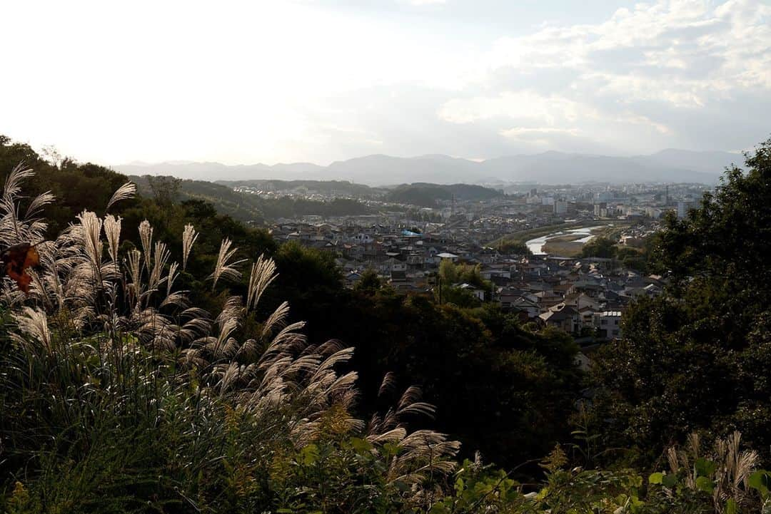 東京都庁広報課さんのインスタグラム写真 - (東京都庁広報課Instagram)「「平山城址公園／Rarks Hirayama (2020.10.20撮影)」最寄駅：平山城址公園駅   #平山城址公園 #京王線 #八王子市 #日野市 #野猿峠 #城跡 #城跡巡り  #tokyotokyo #tokyogram #moodygrams #jp_gallery #ptk_japan #gdayjapan #realtokyo #beautifuldestinations #tokyojapan #instatokyo #loves_nippon #phos_japan #bestjapanpics #cooljapan #japan_of_insta #photo_jpn #illgrammers #景色 #東京 #Tokyo #东京 #도쿄 #tokyogood」12月15日 17時15分 - tocho_koho_official