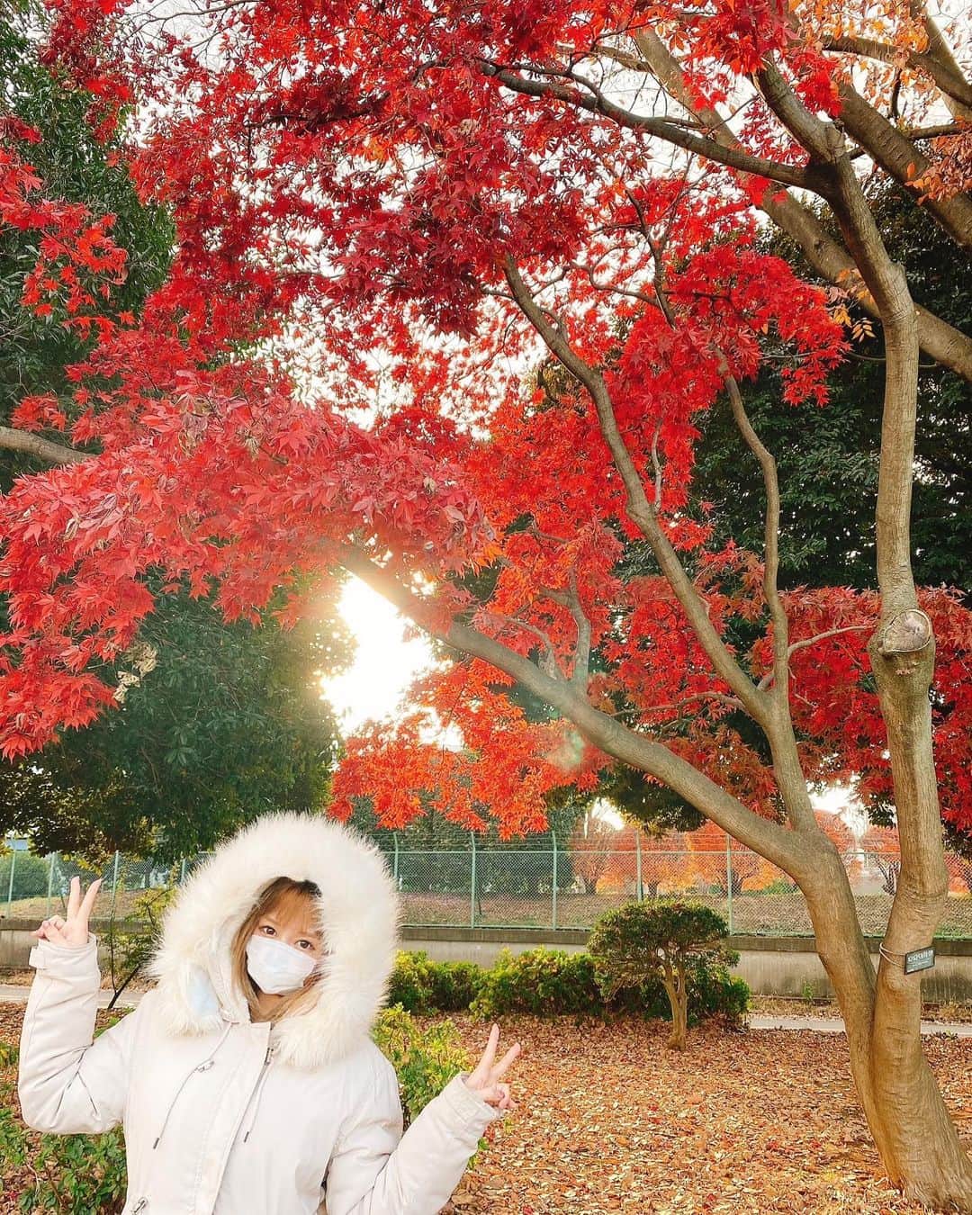 森カノンのグルメインスタ