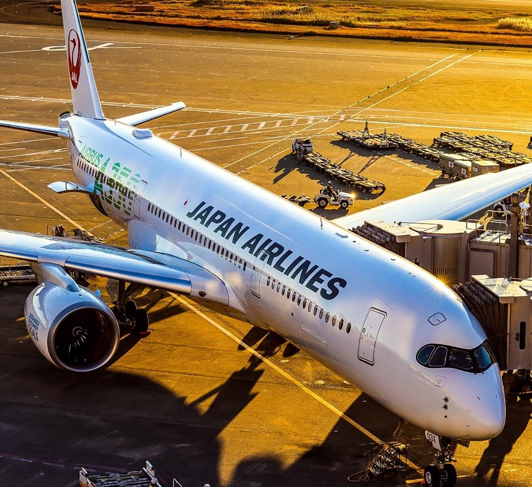 JALさんのインスタグラム写真 - (JALInstagram)「. One of our A350s looking majestic in the sunset. #DramaticDecember  夕日に照らされて輝く、凛々しい #A350 ✈️ . . Photo by @mmm_akira Post your memories with #FlyJAL  #JapanAirlines #travel #airplane #travelawesome #momentofmine」12月15日 17時30分 - japanairlines_jal