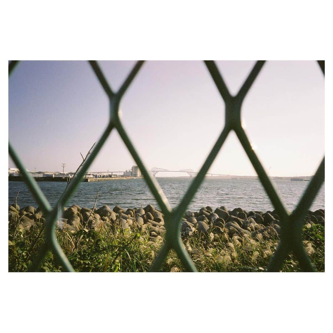 工藤大輝のインスタグラム：「フォーカスは奥。 #filmcamera #minoltatc1」