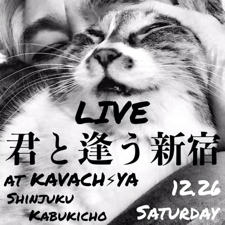 イマイアキノブのインスタグラム：「🥀12.26(土) @ KAVACH⚡︎YA 新宿 『君と逢う新宿』vol.24  出演 イマイアキノブ 山本久土 サトウミノル  open 19:00 start  19:30  music charge  ¥2500＋飲物代  予約 問い KAVACH⚡︎YA  新宿区歌舞伎町2-9-18 ライオンズプラザ新宿2F ☎︎03 6233 8677 (20:00-06:00)  #KAVACH⚡︎YA #君と逢う新宿 #山本久土 #サトウミノル #imaiakinobu  #イマイアキノブ #livemusic」