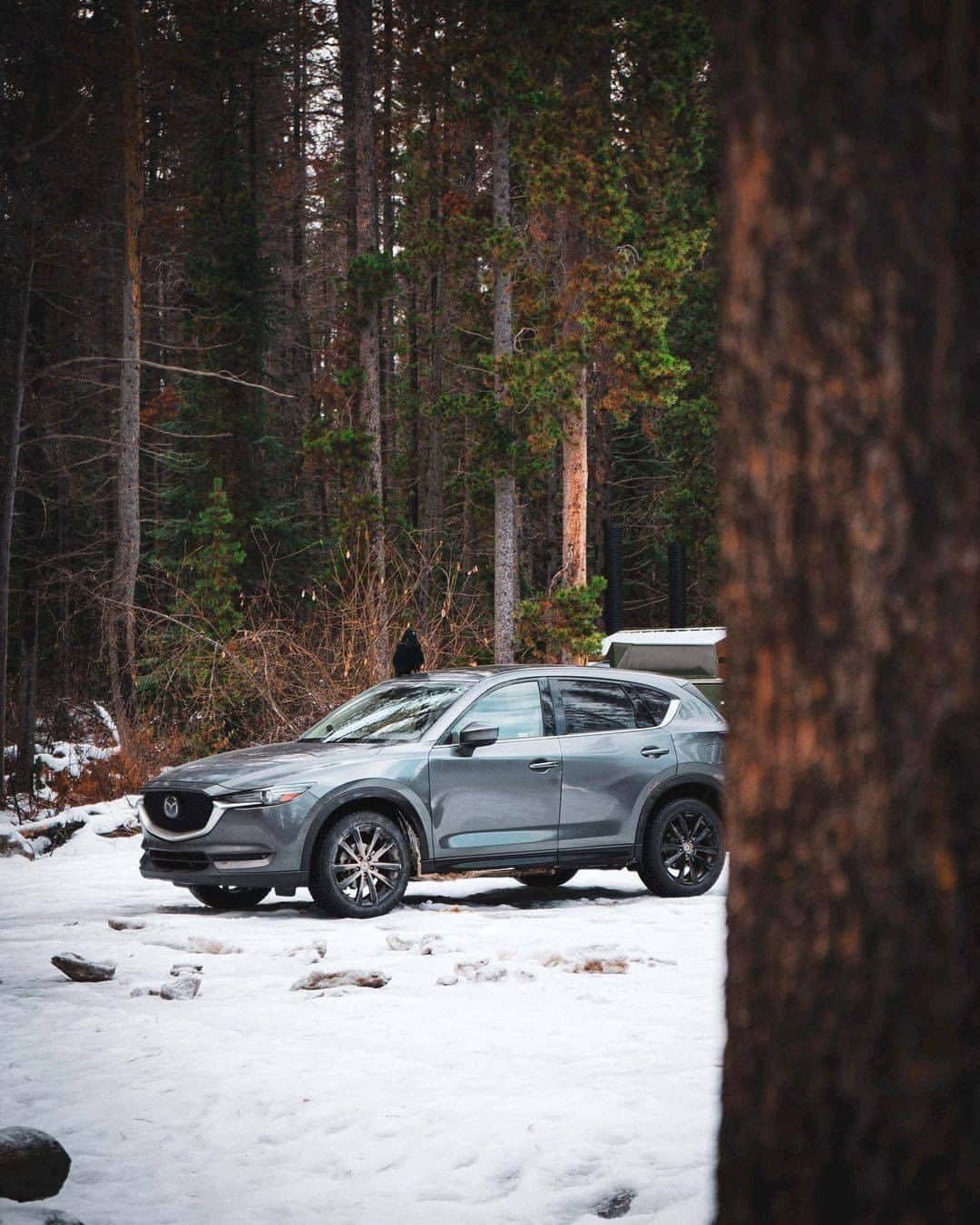 MAZDA Canadaのインスタグラム：「Navigate your surroundings with confidence in the Mazda CX-5. 📸: @tripatsahi」