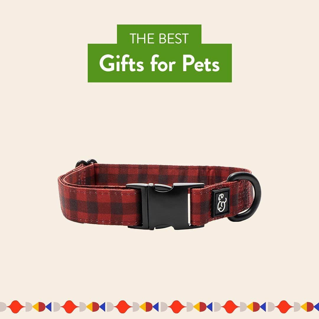 Nordstromさんのインスタグラム写真 - (NordstromInstagram)「Our pets bring us joy every day, so it goes without saying that they deserve a little something to show how much we love them! Swipe for a roundup of our favorite gifts for your furry family members, from toys and accessories to the coziest beds they'll love to snuggle up in. Shop these presents and more at the link in bio. Plus, pick your order up curbside and leave the wrapping to us! 🐕 🐈 #MakeMerry #stayNspired​」12月15日 8時44分 - nordstrom