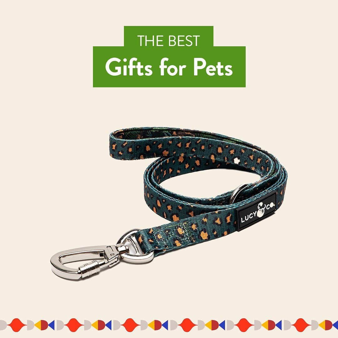 Nordstromさんのインスタグラム写真 - (NordstromInstagram)「Our pets bring us joy every day, so it goes without saying that they deserve a little something to show how much we love them! Swipe for a roundup of our favorite gifts for your furry family members, from toys and accessories to the coziest beds they'll love to snuggle up in. Shop these presents and more at the link in bio. Plus, pick your order up curbside and leave the wrapping to us! 🐕 🐈 #MakeMerry #stayNspired​」12月15日 8時44分 - nordstrom