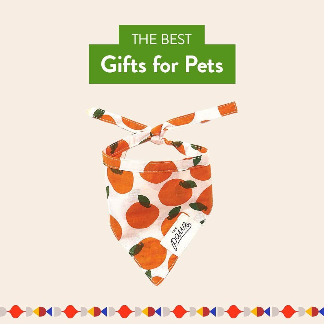 Nordstromさんのインスタグラム写真 - (NordstromInstagram)「Our pets bring us joy every day, so it goes without saying that they deserve a little something to show how much we love them! Swipe for a roundup of our favorite gifts for your furry family members, from toys and accessories to the coziest beds they'll love to snuggle up in. Shop these presents and more at the link in bio. Plus, pick your order up curbside and leave the wrapping to us! 🐕 🐈 #MakeMerry #stayNspired​」12月15日 8時44分 - nordstrom