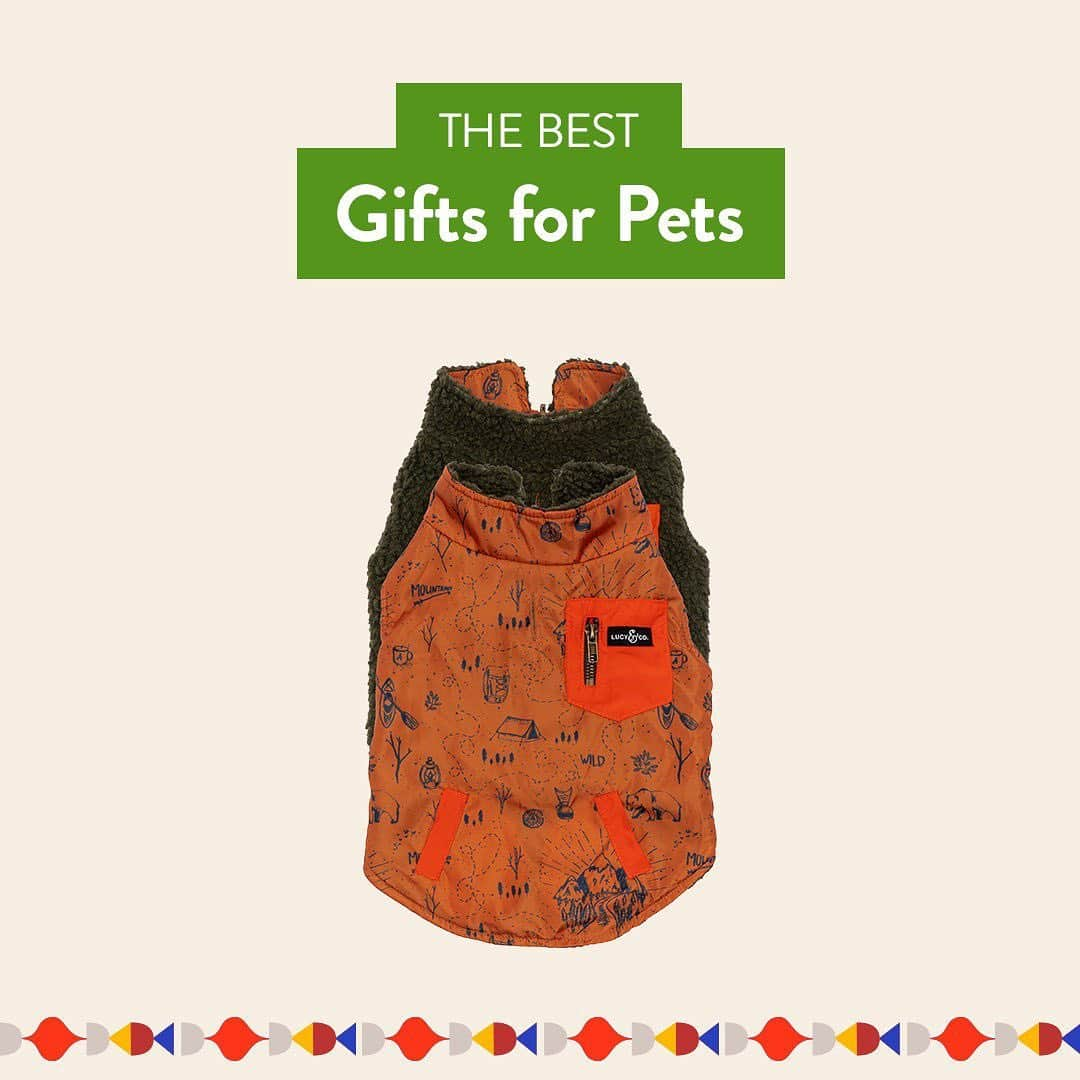 Nordstromさんのインスタグラム写真 - (NordstromInstagram)「Our pets bring us joy every day, so it goes without saying that they deserve a little something to show how much we love them! Swipe for a roundup of our favorite gifts for your furry family members, from toys and accessories to the coziest beds they'll love to snuggle up in. Shop these presents and more at the link in bio. Plus, pick your order up curbside and leave the wrapping to us! 🐕 🐈 #MakeMerry #stayNspired​」12月15日 8時44分 - nordstrom