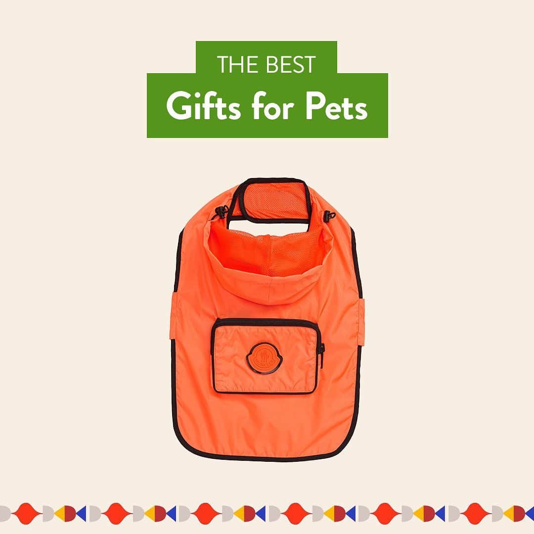 Nordstromさんのインスタグラム写真 - (NordstromInstagram)「Our pets bring us joy every day, so it goes without saying that they deserve a little something to show how much we love them! Swipe for a roundup of our favorite gifts for your furry family members, from toys and accessories to the coziest beds they'll love to snuggle up in. Shop these presents and more at the link in bio. Plus, pick your order up curbside and leave the wrapping to us! 🐕 🐈 #MakeMerry #stayNspired​」12月15日 8時44分 - nordstrom