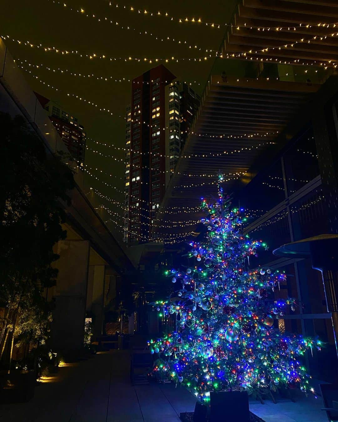 稲木ジョージのインスタグラム：「🎄🎅」