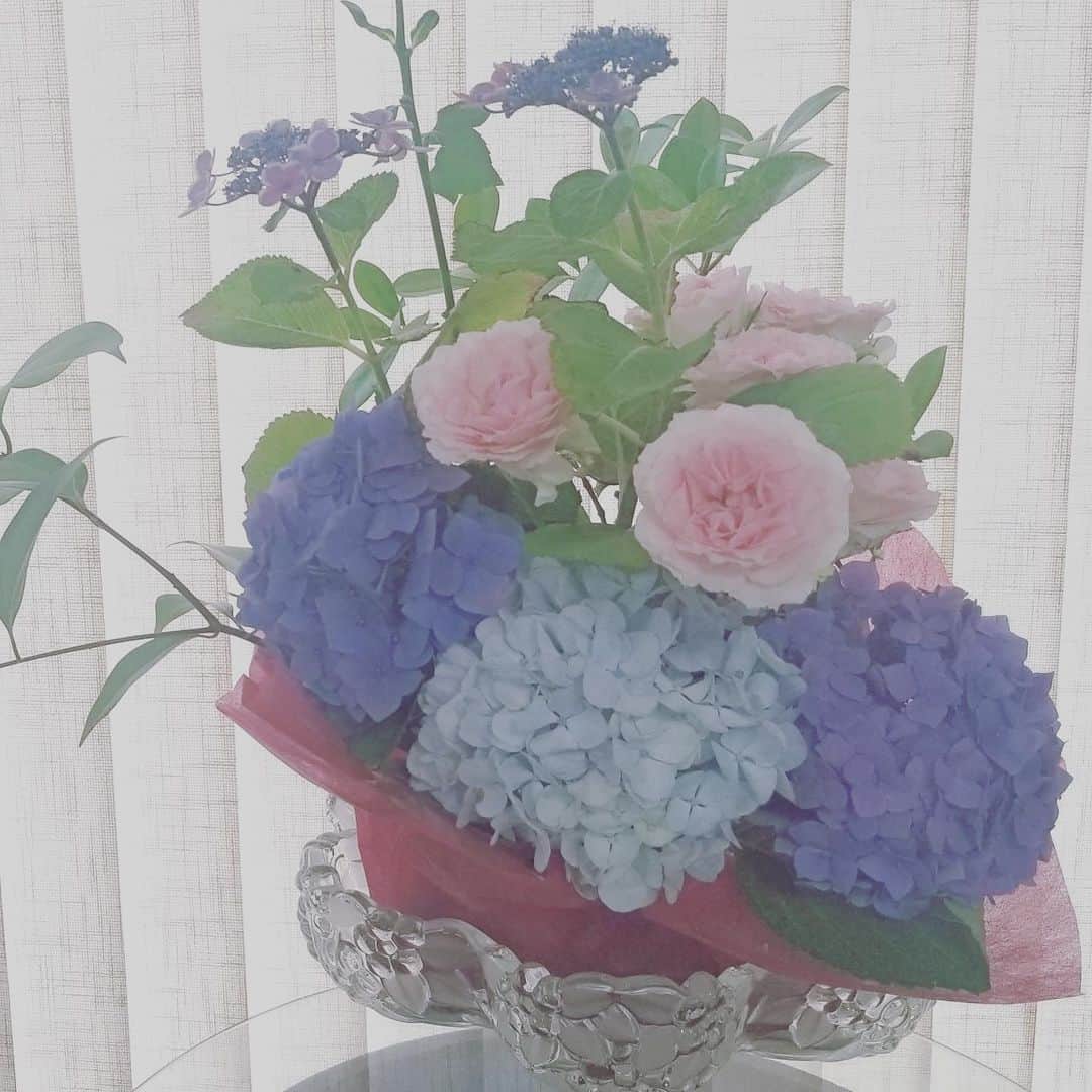 前田真里さんのインスタグラム写真 - (前田真里Instagram)「#flowers #home」12月15日 9時23分 - maedamari