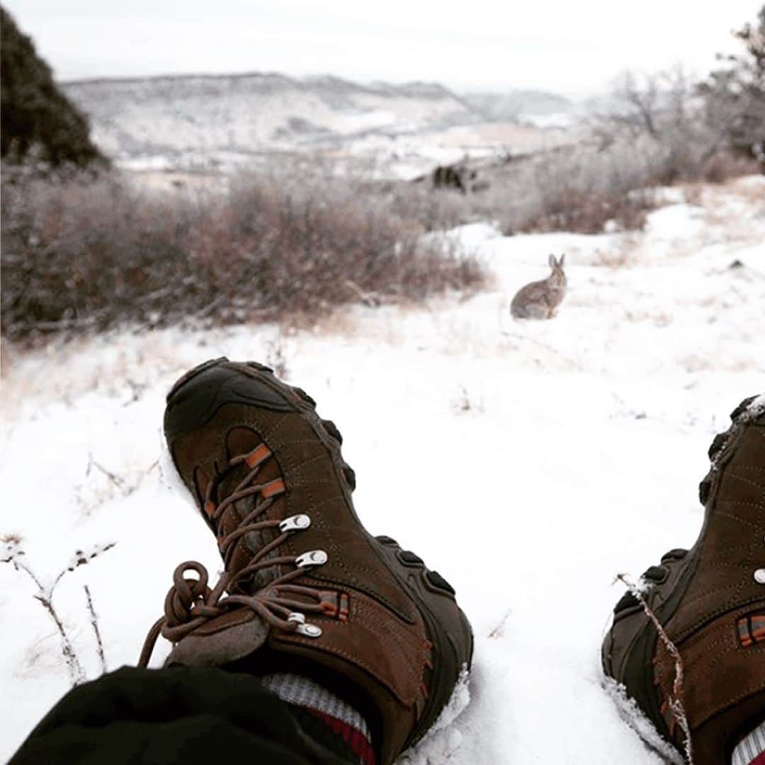 のインスタグラム：「You never know what friends you might make along the trail 🥾   📸 @ejaytattoo  . . . #obozfootwear #hiking #truetothetrail #redrocks #adventure #wildlife #winter」