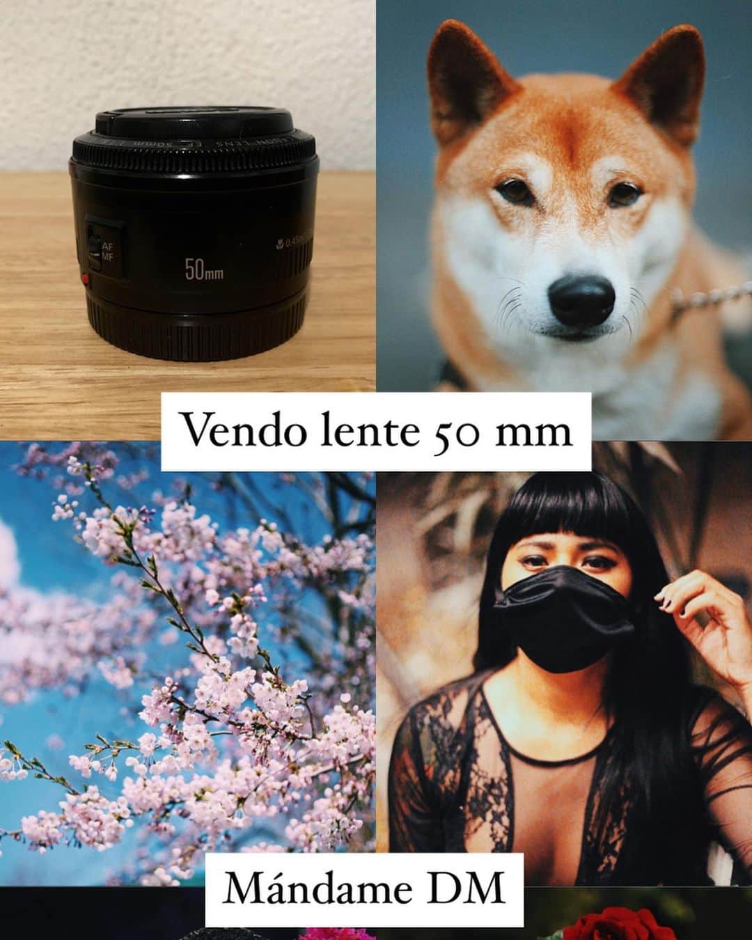 のインスタグラム：「Vendo mi 50 mm, no dudes en mandar mensaje, te adjunto unas fotos de nuestra que hice con el mismo ➡️➡️➡️➡️」