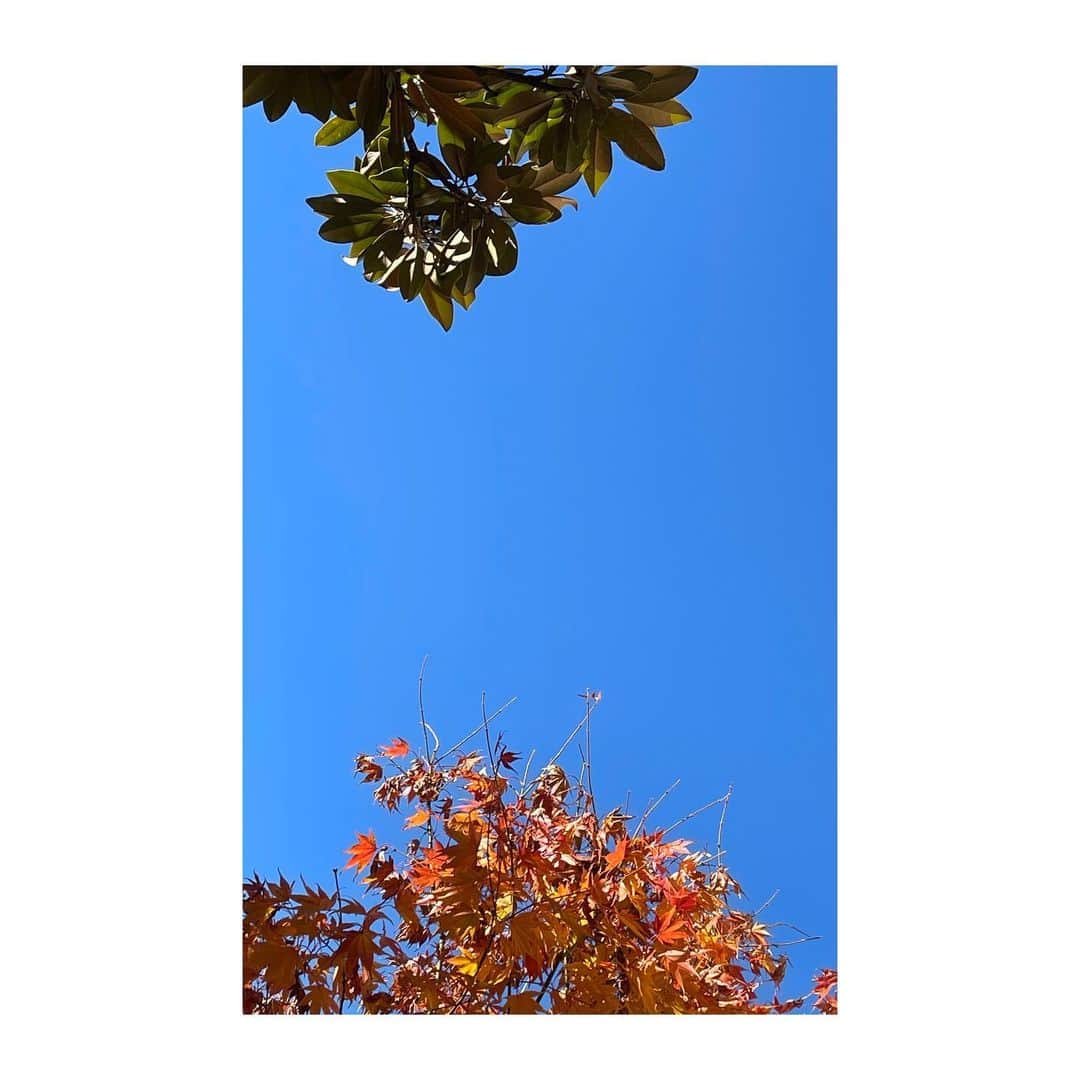 ジュリアン デイヴィッドさんのインスタグラム写真 - (ジュリアン デイヴィッドInstagram)「Sky is extremely blue」12月15日 10時34分 - davidjulien