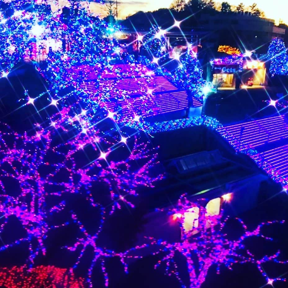 のインスタグラム：「✨✨✨ よみうりランドに行きたいの」