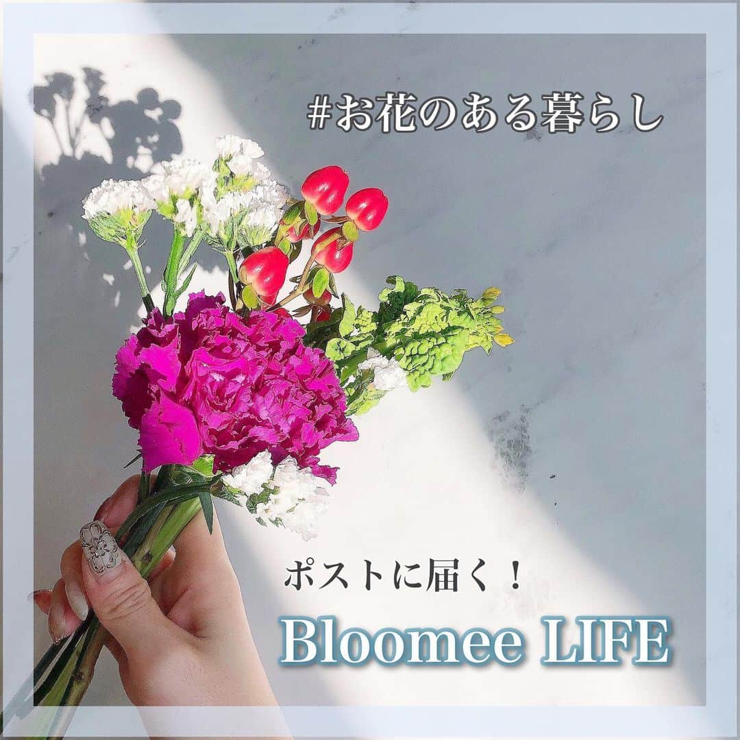 白岩まちこのインスタグラム：「≫≫💐... 𝘣𝘰𝘶𝘲𝘶𝘦𝘵  ㅤㅤㅤㅤㅤㅤㅤㅤㅤㅤㅤㅤㅤ お花のある暮らし🦢💐 ㅤㅤㅤㅤㅤㅤㅤㅤㅤㅤㅤㅤㅤㅤㅤㅤㅤㅤㅤㅤㅤ ㅤㅤㅤㅤㅤㅤㅤㅤㅤㅤㅤㅤㅤ ㅤㅤㅤㅤㅤㅤㅤㅤㅤㅤㅤㅤㅤ サポーターをさせていただいている @bloomeelife さんから届いた今週のお花🌼  ㅤㅤㅤㅤㅤㅤㅤㅤㅤㅤㅤㅤㅤ ( )は花言葉❤︎ ㅤㅤㅤㅤㅤㅤㅤㅤㅤㅤㅤㅤㅤ  🌼カーネーション ( 女性の愛 ) 🌼スターチス ( 変わらぬ愛 ) 🌼ヒペリカム ( きらめき ) 🌼ナタネ ( 快活 ) ㅤㅤㅤㅤㅤㅤㅤㅤㅤㅤㅤㅤㅤ  最近は届いたお花の花言葉を調べるのにハマってる🥴👏🏻 ㅤㅤㅤㅤㅤㅤㅤㅤㅤㅤㅤㅤㅤ ㅤㅤㅤㅤㅤㅤㅤㅤㅤㅤㅤㅤㅤ お花の意味を知ると、より大切にしたくなる🥺💓 ㅤㅤㅤㅤㅤㅤㅤㅤㅤㅤㅤㅤㅤ ㅤㅤㅤㅤㅤㅤㅤㅤㅤㅤㅤㅤㅤ  もう何度も紹介してるから知ってるよ😝‼️って子も増えてきたと思うけど、これ、季節のお花をお家のポストに届けてくれるBloomee Lifeのサービス📮💐✨ ㅤㅤㅤㅤㅤㅤㅤㅤㅤㅤㅤㅤㅤ ㅤㅤㅤㅤㅤㅤㅤㅤㅤㅤㅤㅤㅤ  プランは３つ🌼 ㅤㅤㅤㅤㅤㅤㅤㅤㅤㅤㅤㅤㅤ ㅤㅤㅤㅤㅤㅤㅤㅤㅤㅤㅤㅤㅤ ☑︎500円プラン ( お花３本以上 ) ☑︎800円プラン ( お花４本以上 ) ☑︎1200円プラン　( お花５本以上 )←手渡し配送のみ ㅤㅤㅤㅤㅤㅤㅤㅤㅤㅤㅤㅤㅤ ㅤㅤㅤㅤㅤㅤㅤㅤㅤㅤㅤㅤㅤ これは、800円プランやよ💐 ㅤㅤㅤㅤㅤㅤㅤㅤㅤㅤㅤㅤㅤ ㅤㅤㅤㅤㅤㅤㅤㅤㅤㅤㅤㅤㅤ 支払いは、自分が注文した回数分だけ🐝🌼 ㅤㅤㅤㅤㅤㅤㅤㅤㅤㅤㅤㅤㅤ ㅤㅤㅤㅤㅤㅤㅤㅤㅤㅤㅤㅤㅤ ㅤㅤㅤㅤㅤㅤㅤㅤㅤㅤㅤㅤㅤ お届け時期も、自分の都合の良いタイミングに設定出来るから外泊が続いても大丈夫🙆🏻‍♀️🗓✨ ㅤㅤㅤㅤㅤㅤㅤㅤㅤㅤㅤㅤㅤ ㅤㅤㅤㅤㅤㅤㅤㅤㅤㅤㅤㅤㅤ ㅤㅤㅤㅤㅤㅤㅤㅤㅤㅤㅤㅤㅤ  どんなお花が届くのかは開けるまでのお楽しみやから、毎回ドキドキしながら開封するん🥺🥺 ㅤㅤㅤㅤㅤㅤㅤㅤㅤㅤㅤㅤㅤ ㅤㅤㅤㅤㅤㅤㅤㅤㅤㅤㅤㅤㅤ  もうすぐクリスマスやから、 ラッピングもクリスマス仕様になってた🦌🎄✨ ㅤㅤㅤㅤㅤㅤㅤㅤㅤㅤㅤㅤㅤ ㅤㅤㅤㅤㅤㅤㅤㅤㅤㅤㅤㅤㅤㅤㅤㅤㅤㅤㅤㅤㅤㅤㅤㅤㅤㅤㅤㅤㅤㅤㅤㅤㅤㅤ  今回も、誰でも使える初回無料クーポンを出してもらったから、気になる方はクーポンを使って初回無料でお試ししてみて😘🌼  ㅤㅤㅤㅤㅤㅤㅤㅤㅤㅤㅤㅤㅤ ㅤㅤㅤㅤㅤㅤㅤㅤㅤㅤㅤㅤㅤ  🎟 クーポンコード  ☑︎クーポンコード：machi ☑︎有効期限：2020年12月31日 ㅤㅤㅤㅤㅤㅤㅤㅤㅤㅤㅤㅤㅤ  ㅤㅤㅤㅤㅤㅤㅤㅤㅤㅤㅤㅤㅤ  一緒にお花のある暮らしを楽しもう❤️ ㅤㅤㅤㅤㅤㅤㅤㅤㅤㅤㅤㅤㅤ ㅤㅤㅤㅤㅤㅤㅤㅤㅤㅤㅤㅤㅤ ㅤㅤㅤㅤㅤㅤㅤㅤㅤㅤㅤㅤㅤ ㅤㅤㅤㅤㅤㅤㅤㅤㅤㅤㅤㅤㅤ  ちなみに、今回もゆにちー🐶が友情出演してくれてます🙊❤️ ㅤㅤㅤㅤㅤㅤㅤㅤㅤㅤㅤㅤㅤㅤㅤㅤㅤㅤㅤㅤㅤㅤ  ㅤㅤㅤㅤㅤㅤㅤㅤㅤㅤㅤㅤ ゆにもお花が好きみたい😂💐 ㅤㅤㅤㅤㅤㅤㅤㅤㅤㅤㅤㅤㅤ ㅤㅤㅤㅤㅤㅤㅤㅤㅤㅤㅤㅤㅤ ㅤㅤㅤㅤㅤㅤㅤㅤㅤㅤㅤㅤㅤ ㅤㅤㅤㅤㅤㅤㅤㅤㅤㅤㅤㅤㅤ ㅤㅤㅤㅤㅤㅤㅤㅤㅤㅤㅤㅤㅤ  #bloomeelife#ブルーミーライフ#花サブスク#花#花束#花瓶#フラワーベース #シンプルライフ#丁寧な暮らし#リビング#ていねいな暮らし#花のある暮らし#花のある生活#インテリア小物#ナチュラルインテリア #インテリア#インテリア雑貨#初回無料#おうち時間#お部屋作り #リビングインテリア#シンプルな暮らし」
