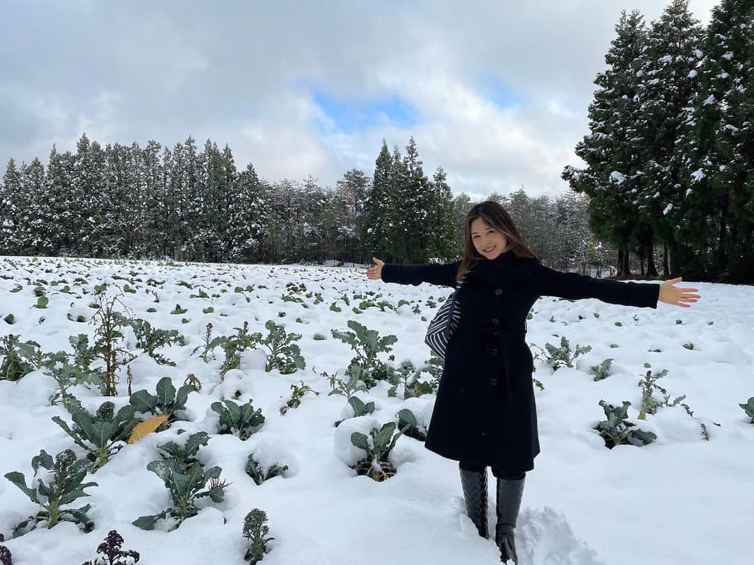 中岡由佳さんのインスタグラム写真 - (中岡由佳Instagram)「北陸は雪景色☃️石川県の小松空港へ行き🛩レンタカーで能登島のNOTO高農園を目指しました🚘高さんご夫妻に家族でご挨拶をして広大な野菜畑を見学させていただきました。雪に覆われると甘みが増すのは、野菜の水分を糖分に変えるから。採りたての野菜をかじらせてもらうと美味しかった！！マスクを外してみると自然の空気も美味しかった！！敢えてこの冬の時期に行く価値がありました✨大雪で車の運転や通行止めにならないか等とても心配だったけれど、無事に辿り着けて、農家さんが雪の畑に立つ姿、手袋をせず野菜を素手で触れる姿を見て感動しました。。 #石川県　#能登島　#高農園　#有機野菜 #JAL旅で出会った冬」12月15日 17時51分 - yuka_nakaoka