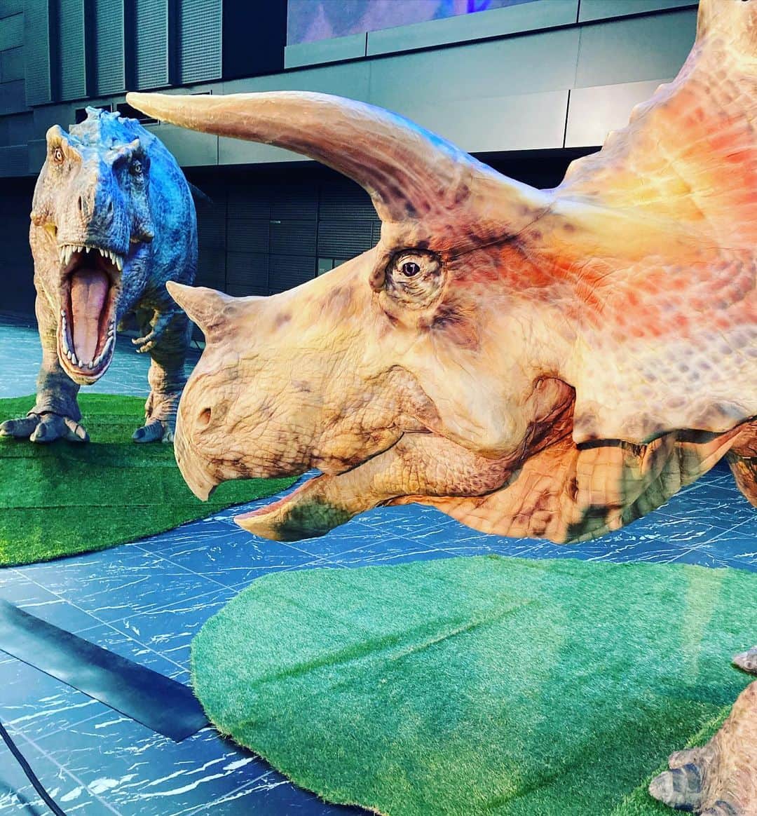 吉川正洋さんのインスタグラム写真 - (吉川正洋Instagram)「我が家はまだまだ恐竜ブーム🦕  #ディノアライブの恐竜たち展 #新宿住友ビル三角広場」12月15日 12時29分 - dhyoshikawa