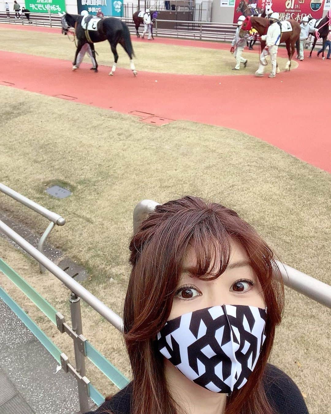 矢部美穂さんのインスタグラム写真 - (矢部美穂Instagram)「昨日はディーレクタとセイウンノアの応援でした📣 ディーレクタは正直、メンタル面を解消しないとダメなようで、調教だとタイムもいいのですが…距離も含めてまた再スタートしたいと思います‼️ そして、セイウンノアは今回は馬混みに入れてのレースをしましたが、惜しくも3着💦 枠順もありますし、お正月1日にめでたく口取り写真が撮れるように頑張ってもらいたいと思います😘 ちなみに、2.3枚目の写真は佐々木光カメラマンが撮影してくれたものです✨ かっこ良すぎる❤️ありがとうございます😊 次回は口取り写真だ‼️ #川崎競馬場#ディークレタ#セイウンノア#馬主#馬主ライフ#40代 #矢部美穂」12月15日 13時19分 - miho.yabe.0607