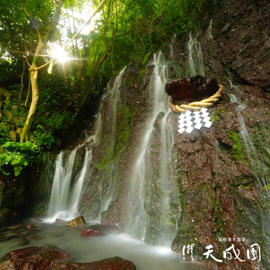 【公式】箱根湯本温泉 天成園のインスタグラム