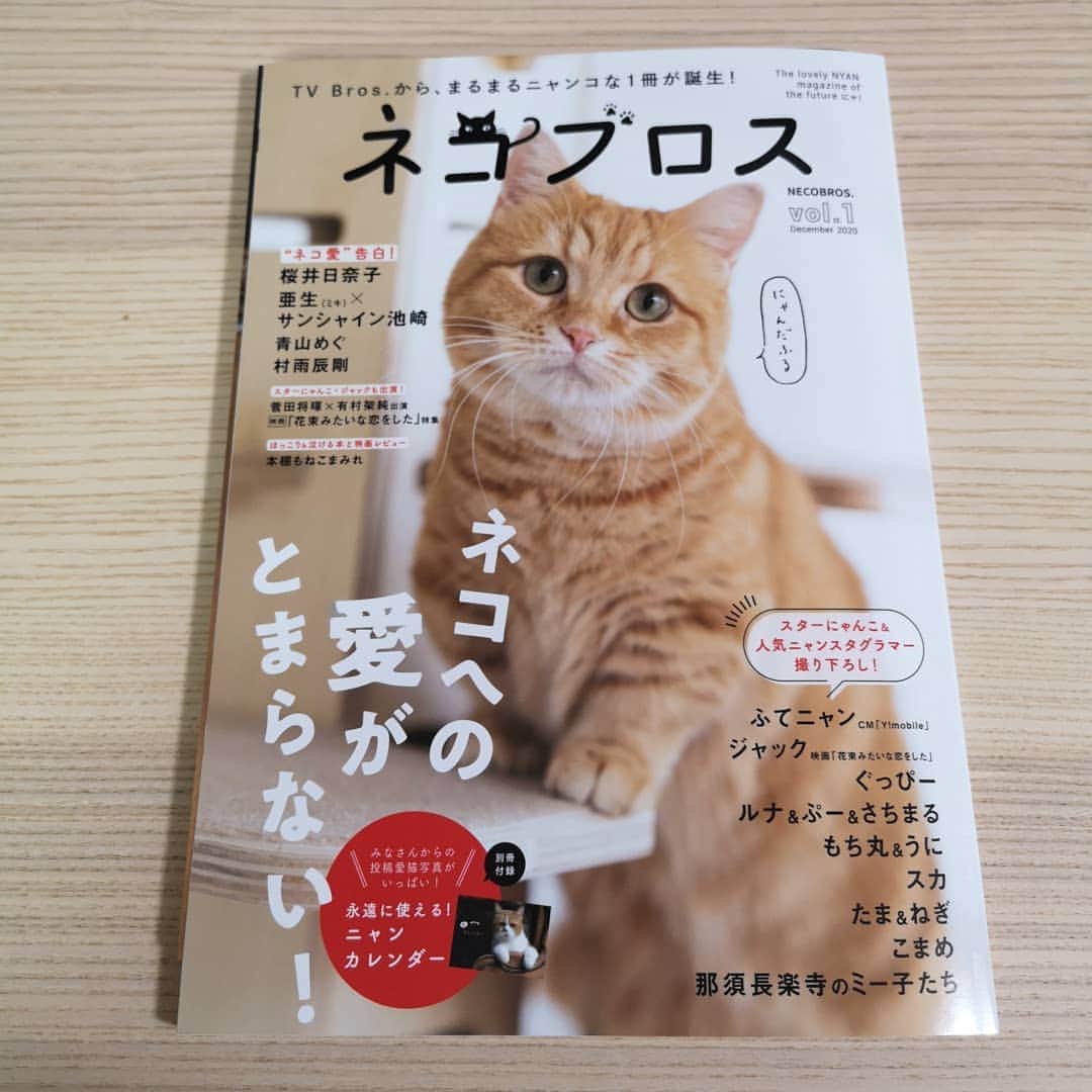 寅次郎（とらちゃん）さんのインスタグラム写真 - (寅次郎（とらちゃん）Instagram)「☆ Magazine publication . 新しく創刊された雑誌「ネコブロス」  この雑誌の最後の方に写真集「キジトラ猫だけ！」の紹介と共に1ページど～んと載せていただいてます🙈 . 書店で見かけたらぜひ見てみてくださいにゃ😹 . #あまりの大きさにびっくり  #ストーリーにも載せたけど #記念に . @bonenuemasica #ネコブロス #寅次郎掲載本 #cat #cute #meow #貓 #ねこ #エキゾチックショートヘア #無敵の親バカ同盟 #猫のいる暮らし #にゃんすたぐらむ #ペコねこ部 #ねことの暮らし」12月15日 13時46分 - torachanthecat