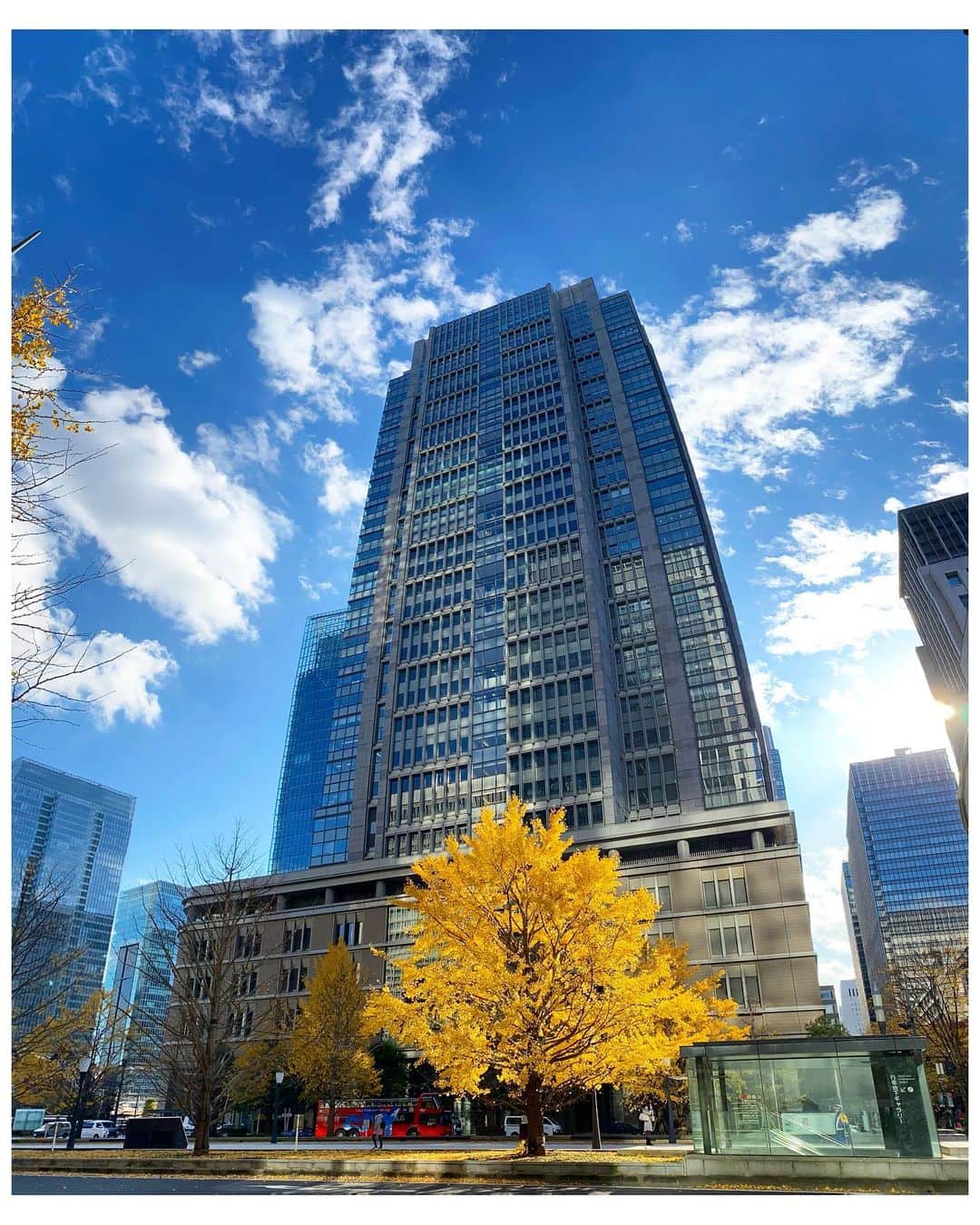 吉竹史さんのインスタグラム写真 - (吉竹史Instagram)「イチョウに太陽の光がたっぷり当たった時の色が、私が一番好きな色☺️💛🧡  たまたま歩いてたらめちゃくちゃ良い写真撮れて嬉しい✨⤴︎  丸の内は、歩くといつも気分が上がる⤴︎⤴︎ 東京は秋が一番綺麗な街だと思ってる☺️ もう冬だけど！  各地で雪もちらほら？ 寒いからみなさん地味〜に風邪ひかないように☃️  #丸の内　#丸の内仲通り　#銀杏　#イチョウ」12月15日 13時48分 - fumi_yoshitake
