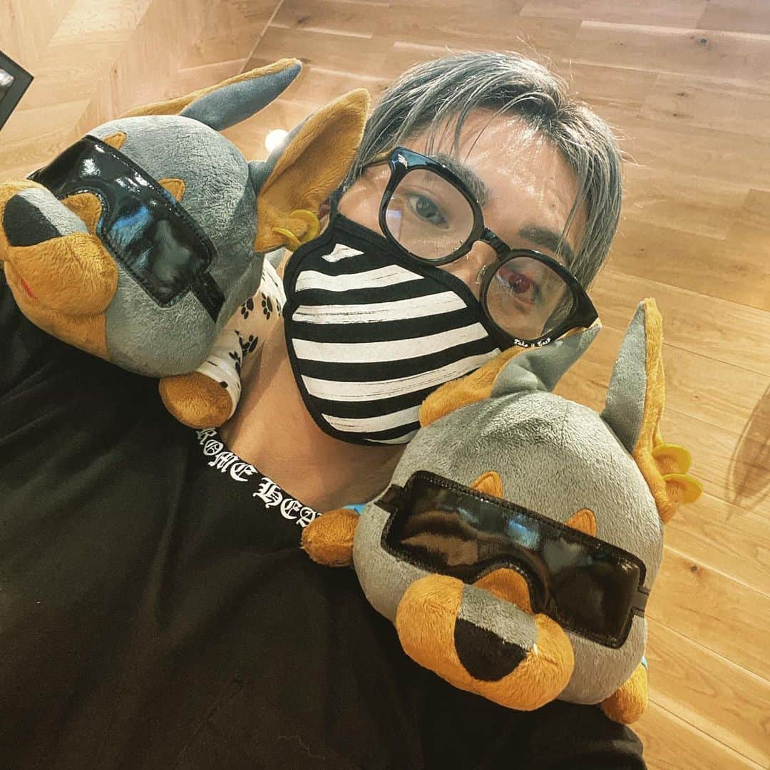 野替愁平のインスタグラム：「ドービー 第2弾 迎えに行ってくれた？  #サンプルチェックのとき #かわいい #DobeDogg」