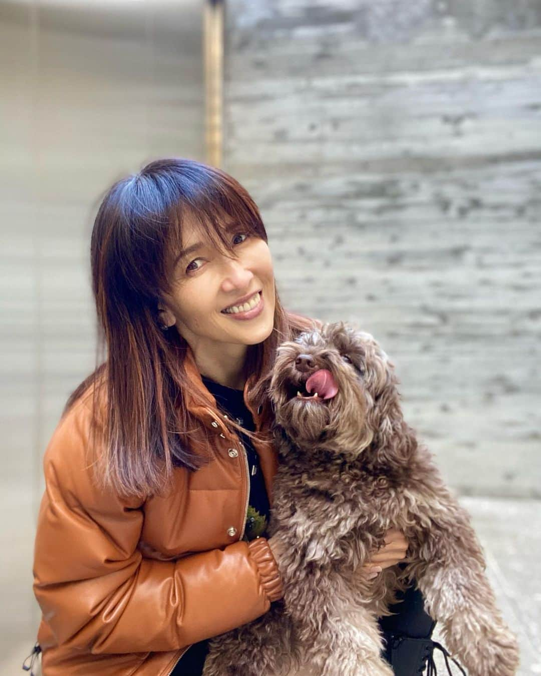 工藤静香さんのインスタグラム写真 - (工藤静香Instagram)「今日も朝から寒かったですね🥶 寒くてもわんちゃん達は元気😊  このダウンは寒がりの私に、知人がギフトしてくれました。知人（仕事関係者）実際はオレンジではなく、キャメル色です💦 早朝寒かったので、玄関に掛けたギフトのダウンを着ただけなのですが💦すいません。  ダウン　@bape_japan  セーター @coach  ニット帽　@supremenewyork」12月15日 14時27分 - kudo_shizuka