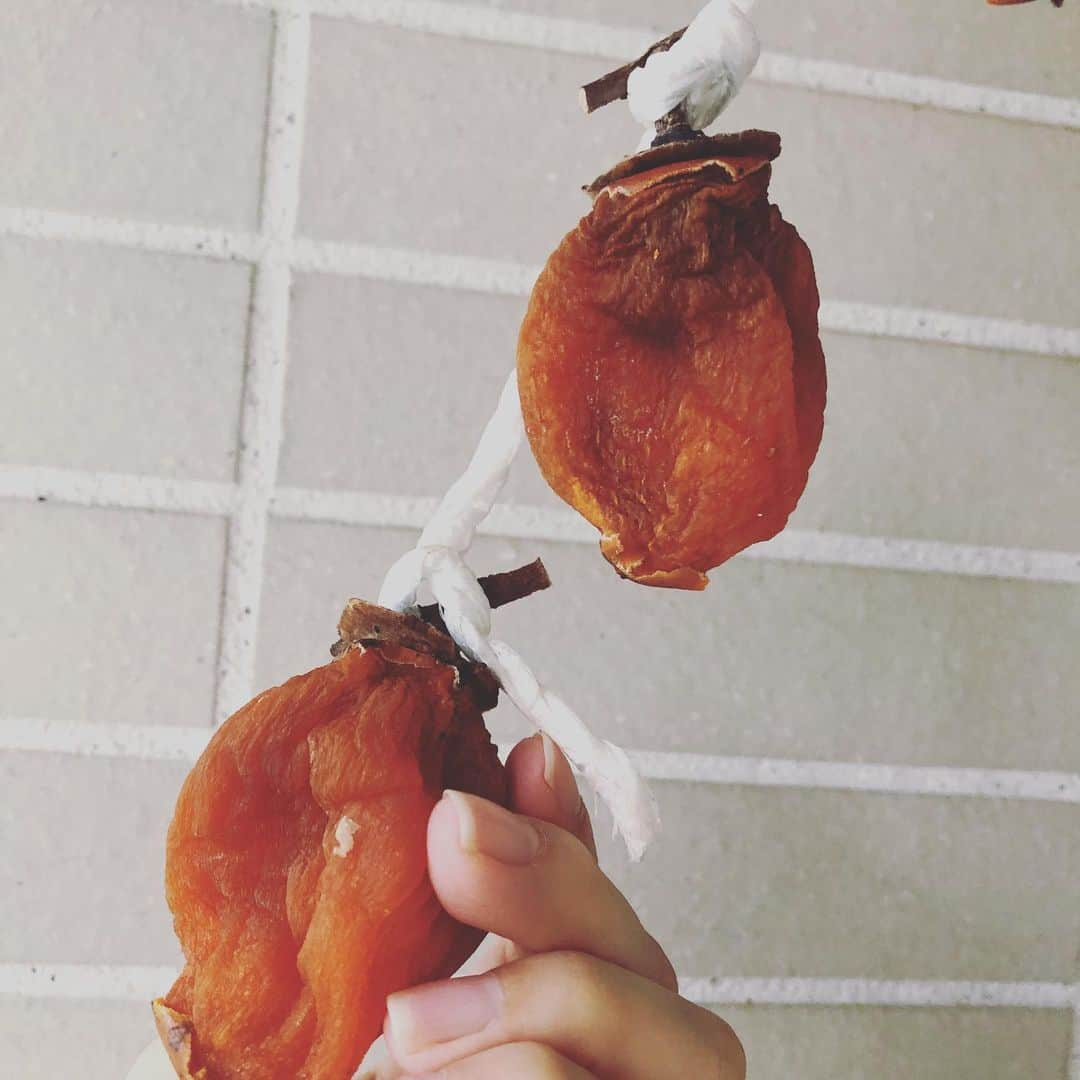 肘井美佳さんのインスタグラム写真 - (肘井美佳Instagram)「Dried persimmons seem to be ready toeat!  あっという間に12月になり、 干し柿作りから2週間…  もうそろそろ出来上がりの予感！ どんどん小さくなっていく〜  干して1週間後と2週間後に、柿をモミモミしました。 周りが乾燥して、中が柔らかくなっていて…タネのあったところ？がゴリゴリしていたけど揉んだら柔らかくなりました。甘さが均一になるのかな？  今週中に収穫だー たのしいね😊  #driedpersimmon  #始めての干し柿 ＃1枚目が1週間後、2枚目が2週間後の柿 #大きな鍵を使わないと最終的に小さくなりすぎる ＃干して1週間後の柿も美味しそうだった… #来年はたくさん作って実験しよう」12月15日 14時52分 - mikahijii