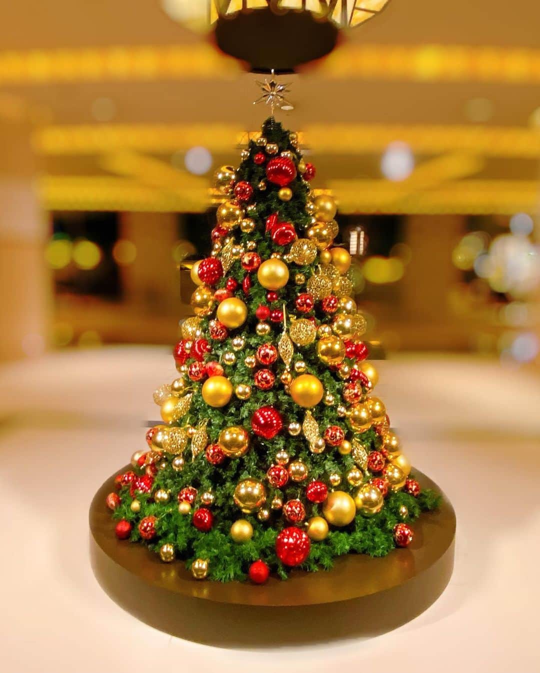 菜那くららさんのインスタグラム写真 - (菜那くららInstagram)「﻿ ＊🧸❤️🎄﻿ ﻿ ﻿ テディベアツリー🧸❤️✨﻿ ﻿ ﻿ ﻿ Christmas treeは﻿ 何回見てもワクワクします🎄✨﻿ ﻿ ﻿ ﻿ ﻿ #クリスマス#クリスマスツリー﻿ #Christmastree﻿ #テディーベアー」12月15日 15時06分 - nana_kurara