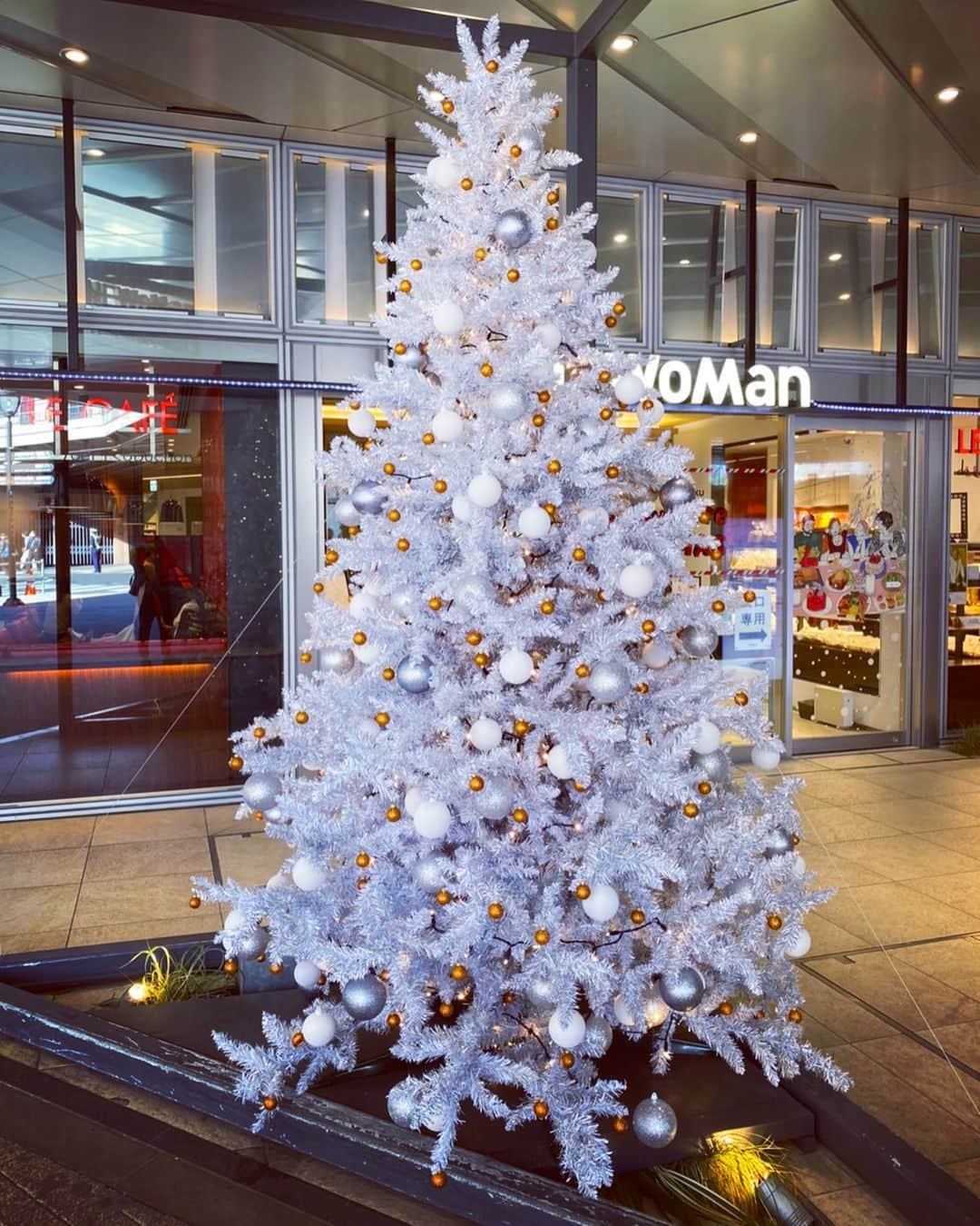 のインスタグラム：「【13 】NEWoMan Shinjuku🎄 📷 @shinguma さん🧸 毎年ちゃんとしてるなーという印象のニューマン。私が撮るとき必ず‼️誰かしらが入っちゃうんだけど、さすが名ハンター✨ #christmastreehunting2020 #ツリー狩り #借り物写真 #またもや」